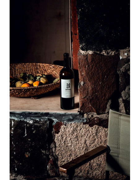 Scopri i vini TUSHPA