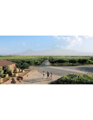 Ontdek TUSHPA-wijnen