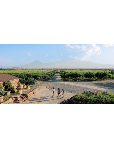 Scopri i vini TUSHPA