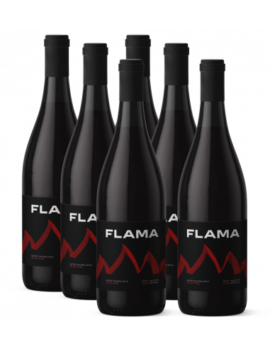 FLAMA 2022 x 6 Flaschen