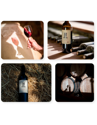 Scopri i vini TUSHPA