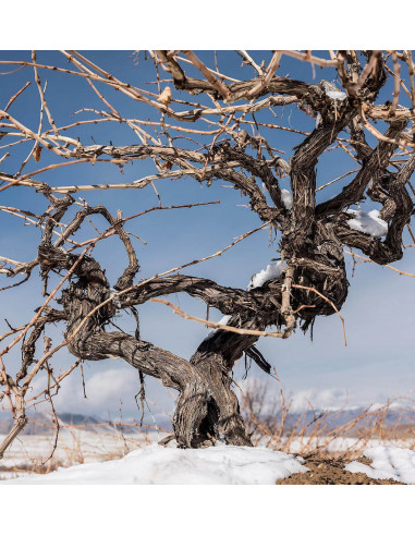 KEUSH Extremis Rosé Brut Nature...