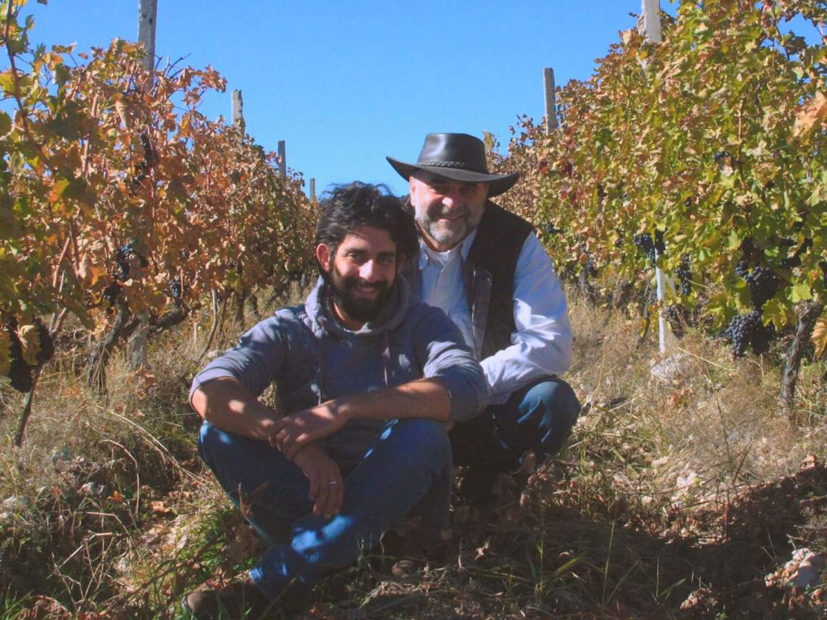 Trinity Canyon Vineyards