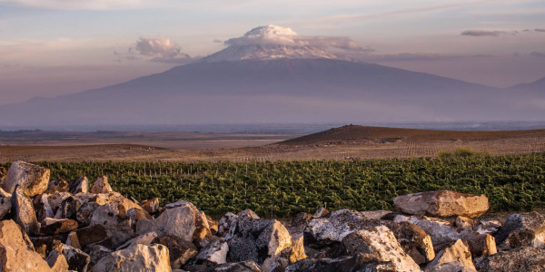Weingüter, die Sie während Ihrer Reise nach Armenien besuchen sollten